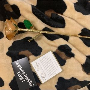 SOLD 24K Dipped Peach Rose by Steven Singer